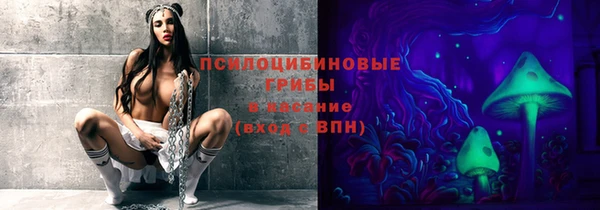 соль ск Алзамай