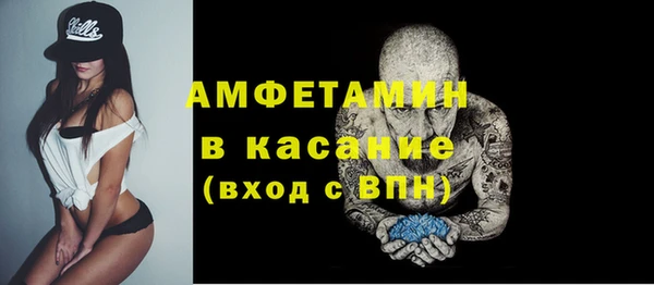гашик Алексин