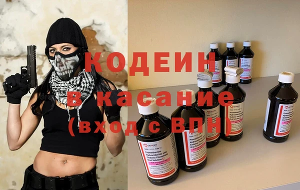 гашик Алексин