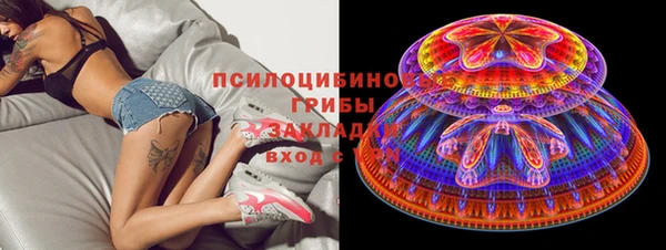 гашик Алексин